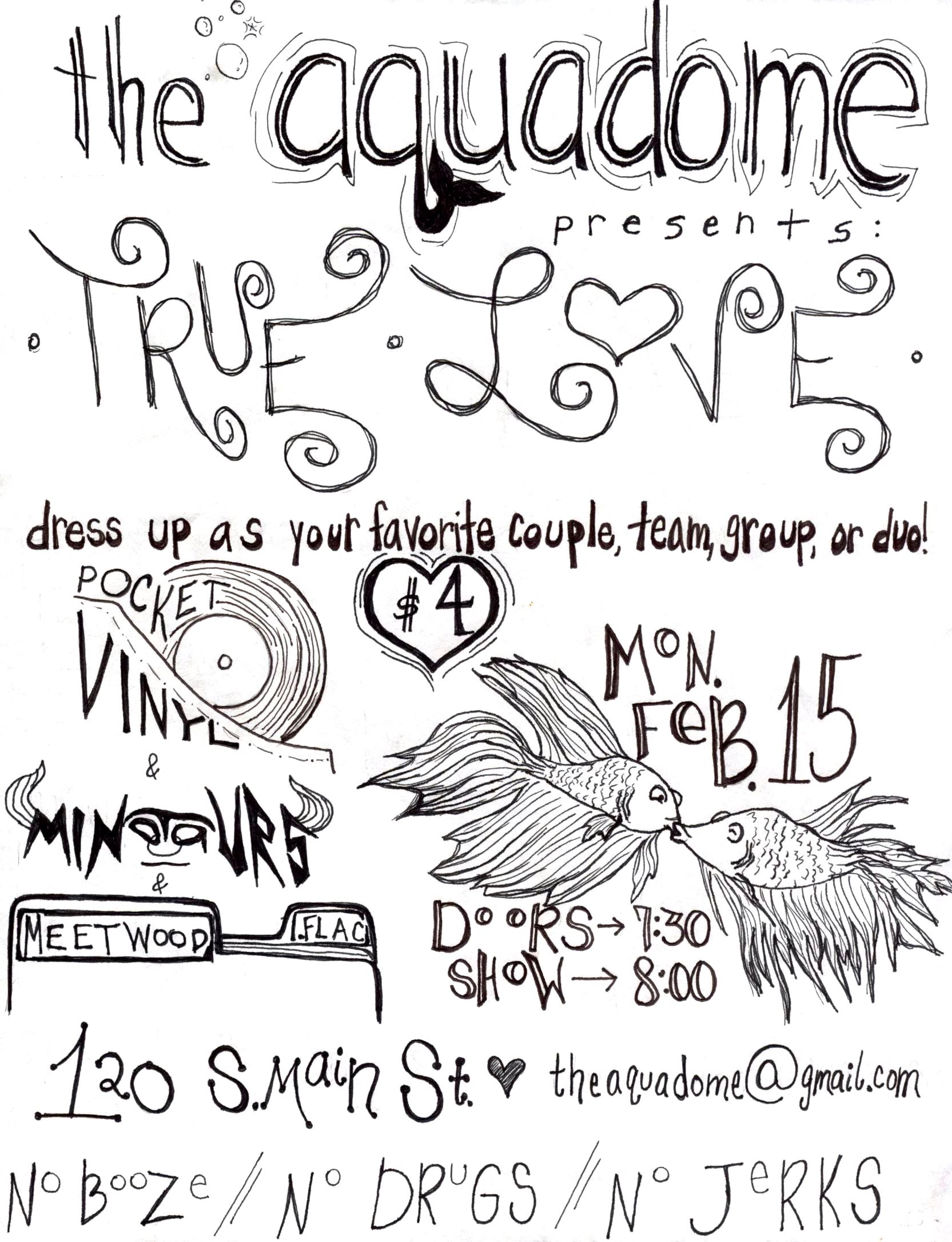 aqua poster true love