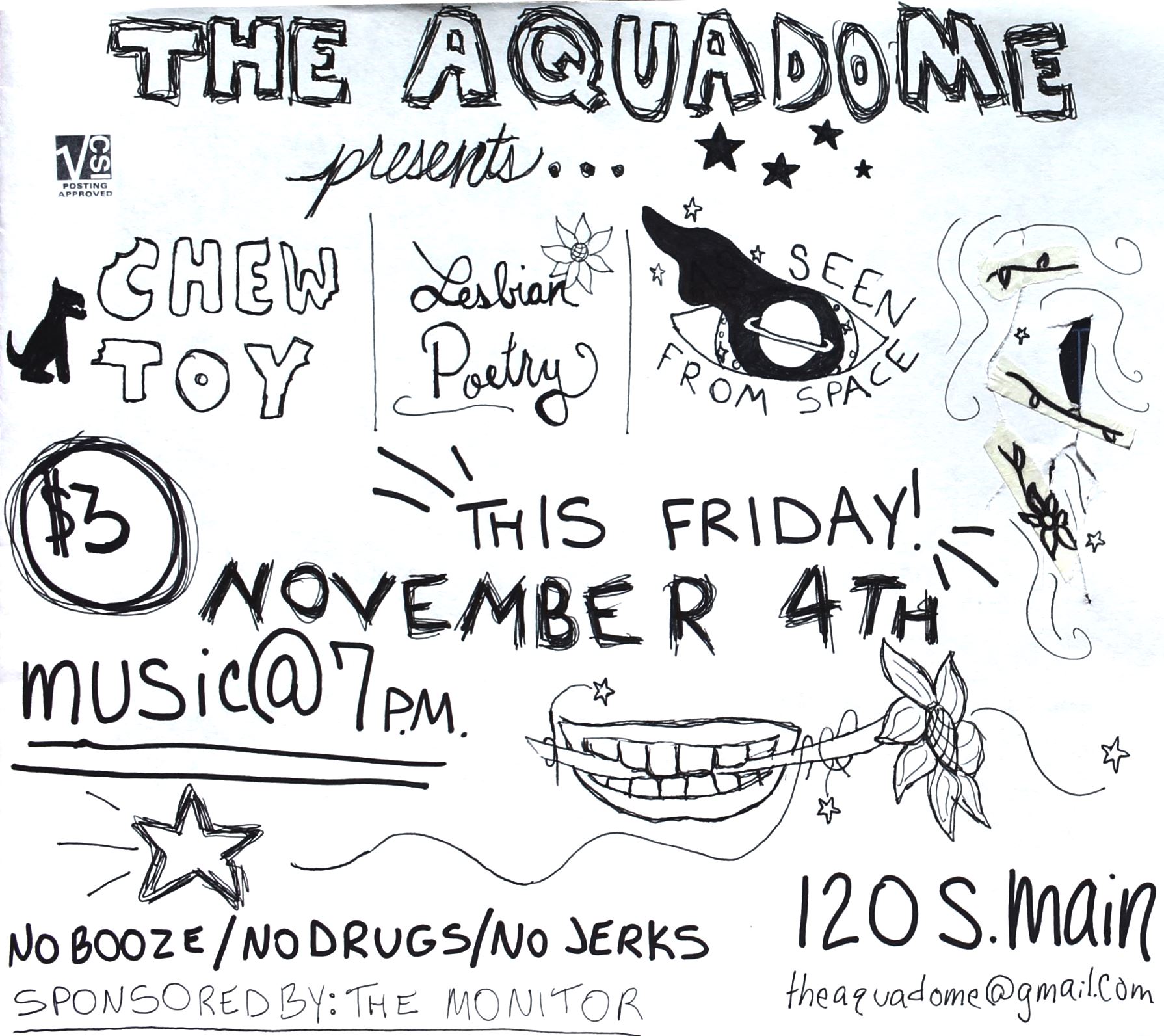 chew toy lesbian poetry as seen from space nov 4th csi verified